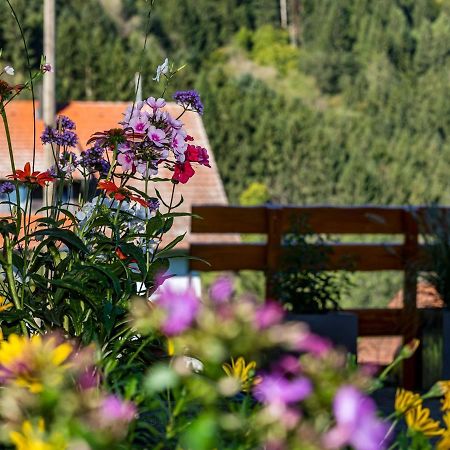 Ferienwohnung Morgensonne Wolfach Eksteriør bilde